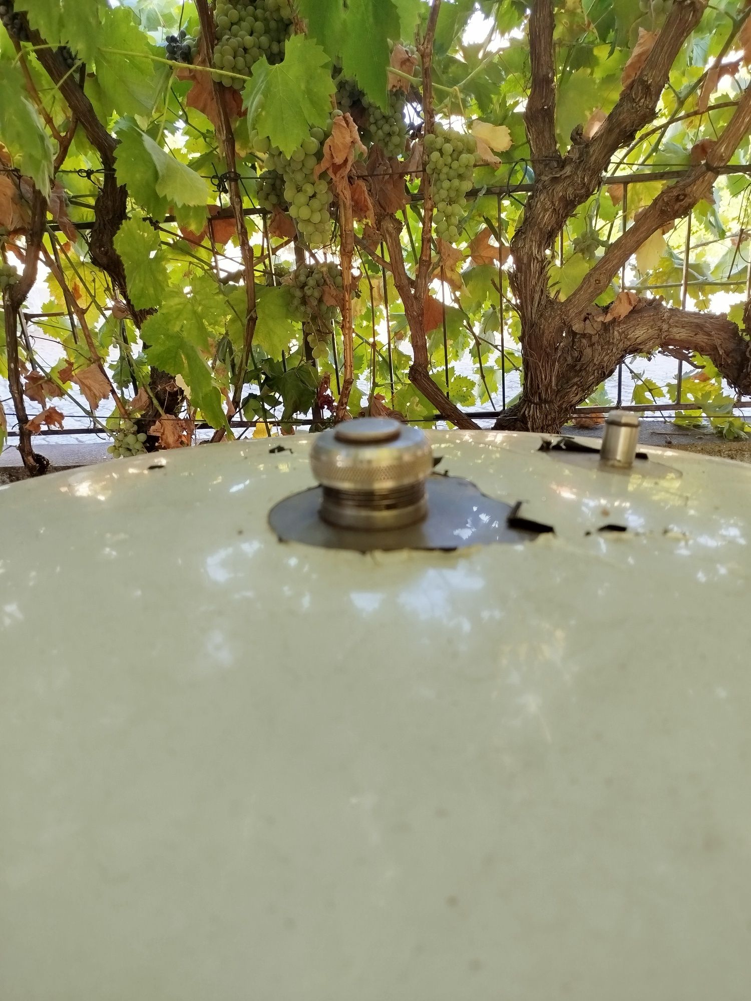 Cuba em Inox para vinho