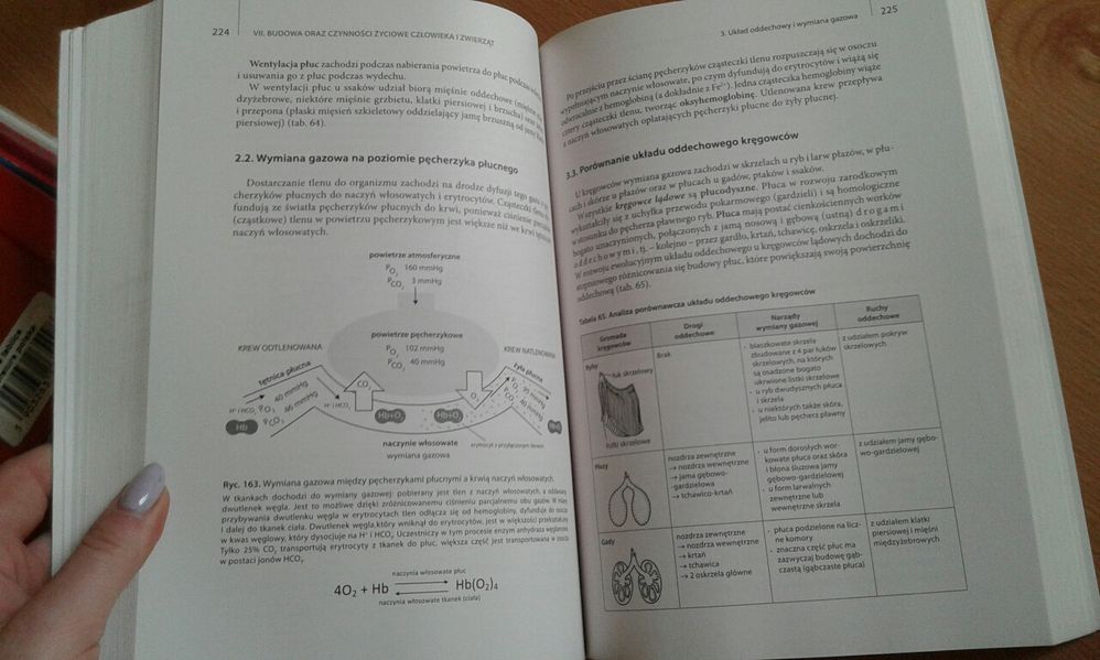 Repetytorium biologia