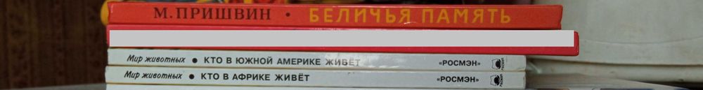 Кто в Южной Америке Живет/ Кто в Африке Живет/ Беличья память