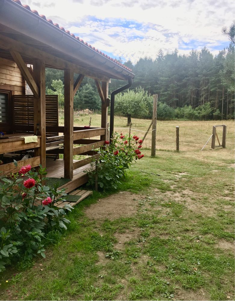 Domek na wyłączność. Jacuzzi