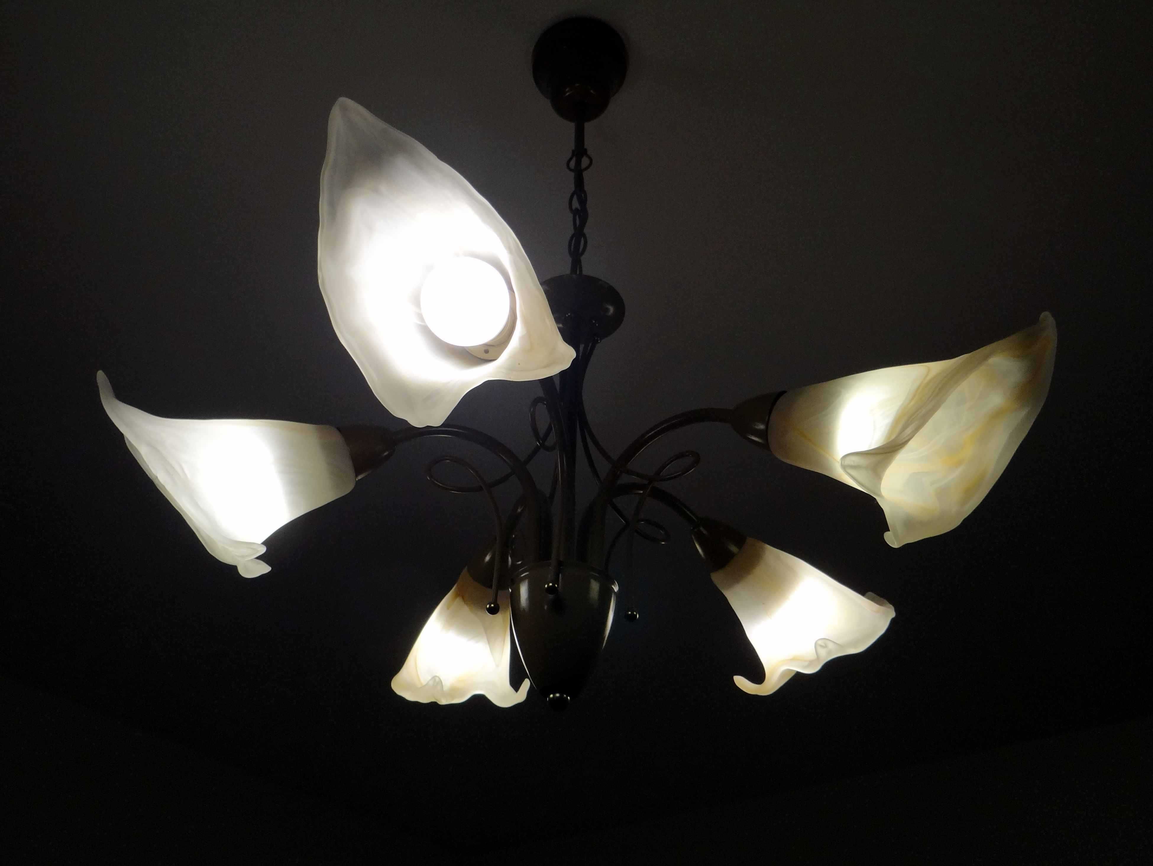 Lampa wisząca pokojowa, żyrandol z żarówkami LED