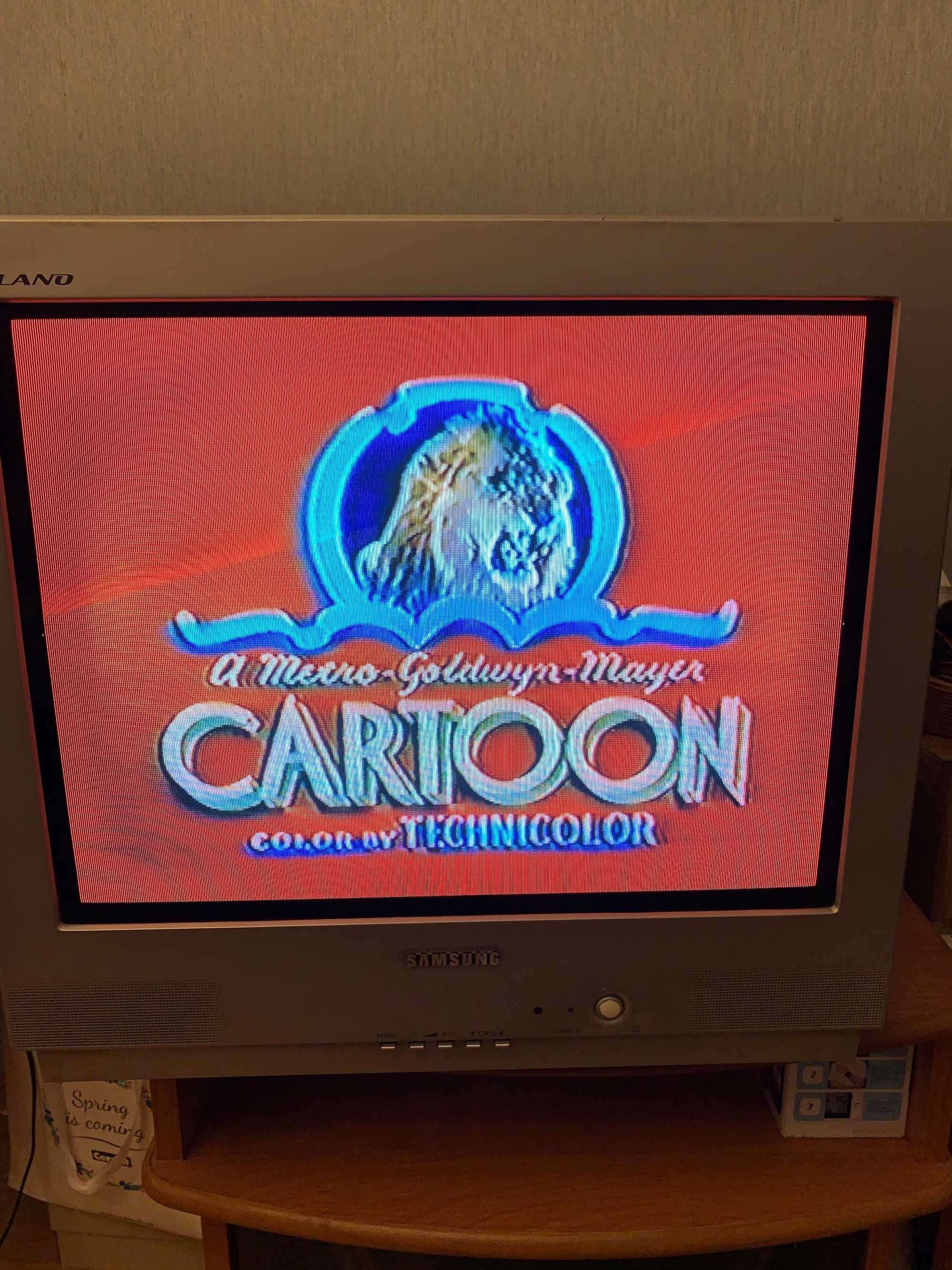 Телевизор Samsung CS-21K9Q