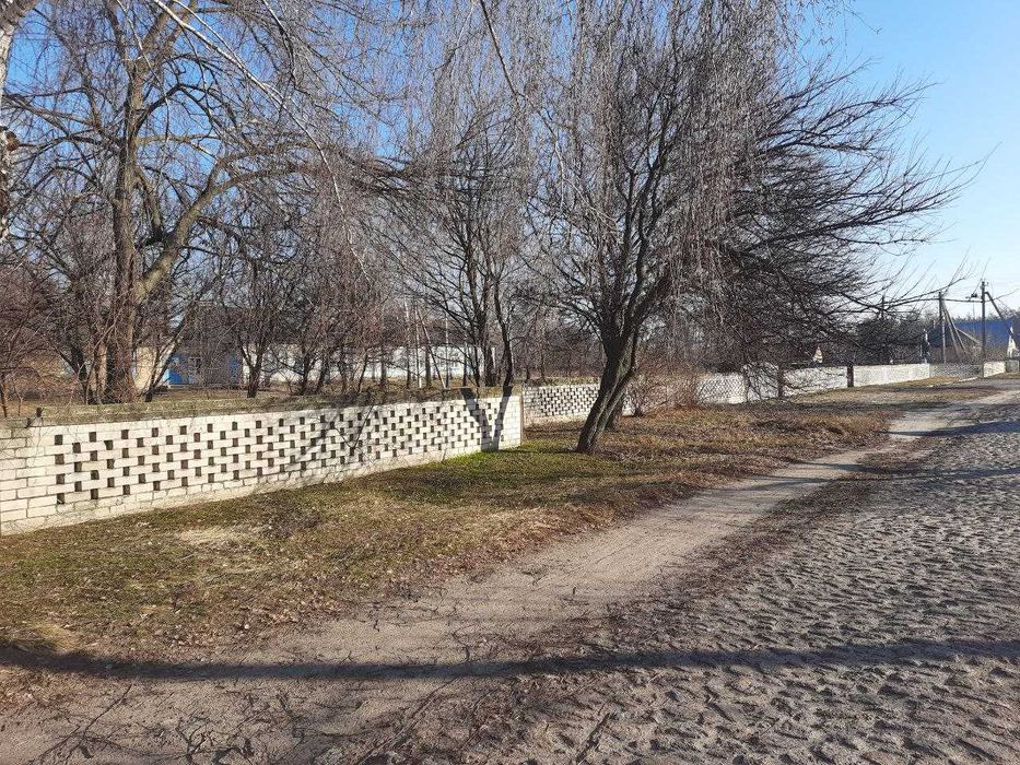 Пропонуємо до продажу земельну ділянку в с. Сагунівка