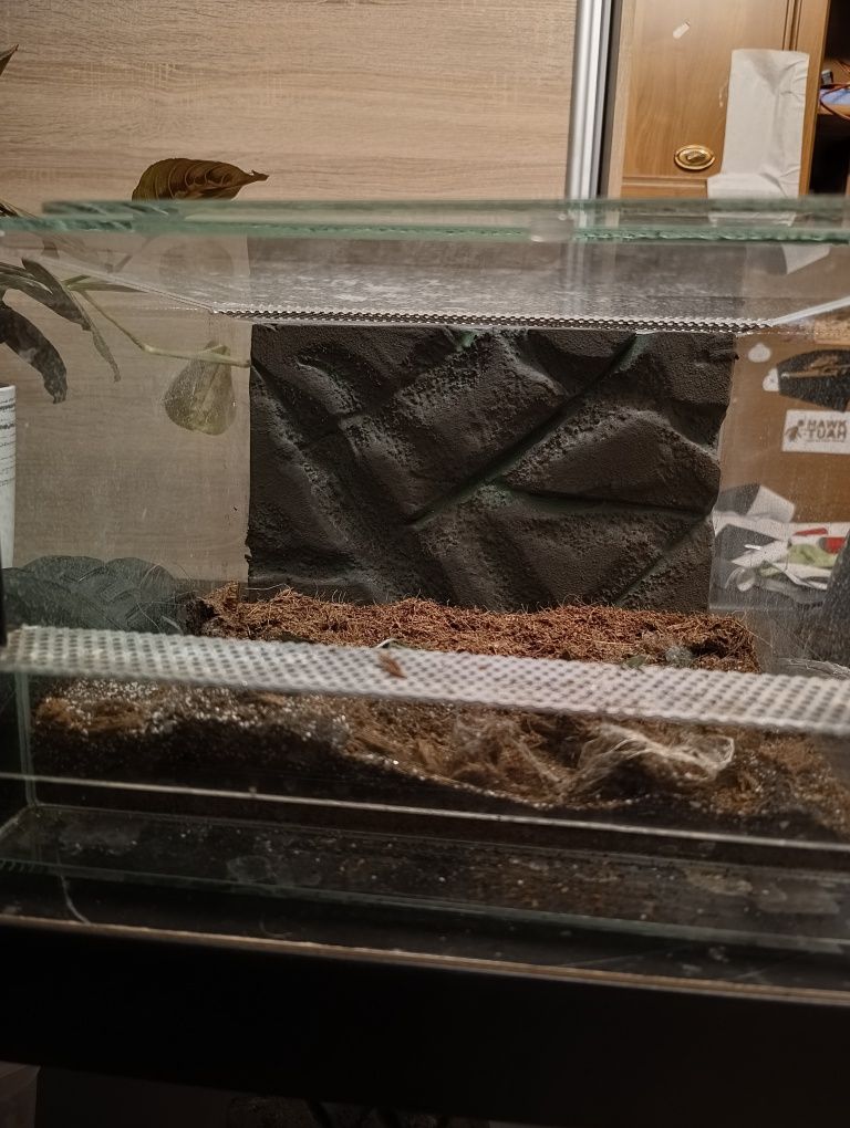 Ścianki do terrarium
