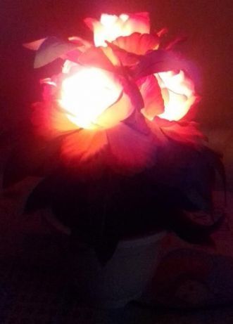 Волшебный светильник с "живыми" цветами