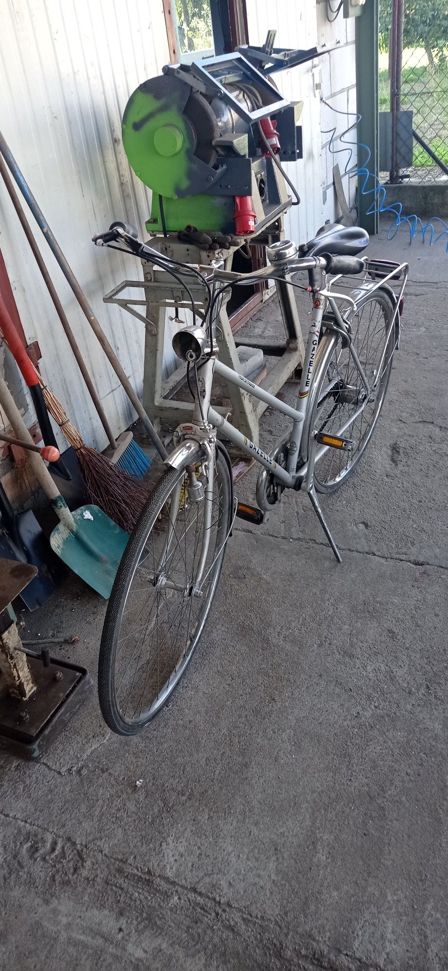 Rower gazelle holenderski