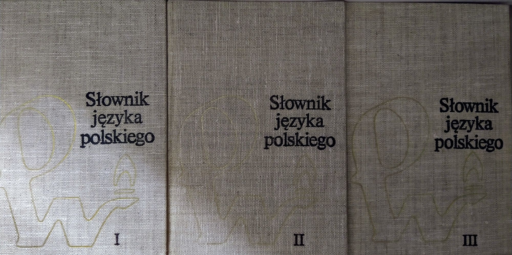 Słownik języka polskiego PWN 3 tomy plus słownik wyrazów obcych