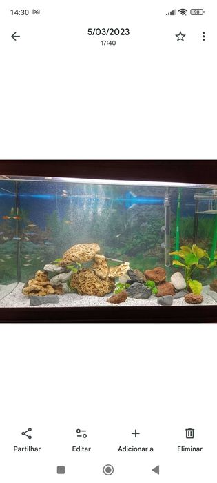 Aquário com móvel 126lt