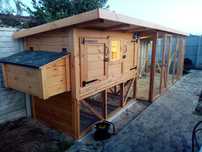 Курятник на 10 курей