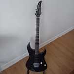 Yamaha  rgx  421D