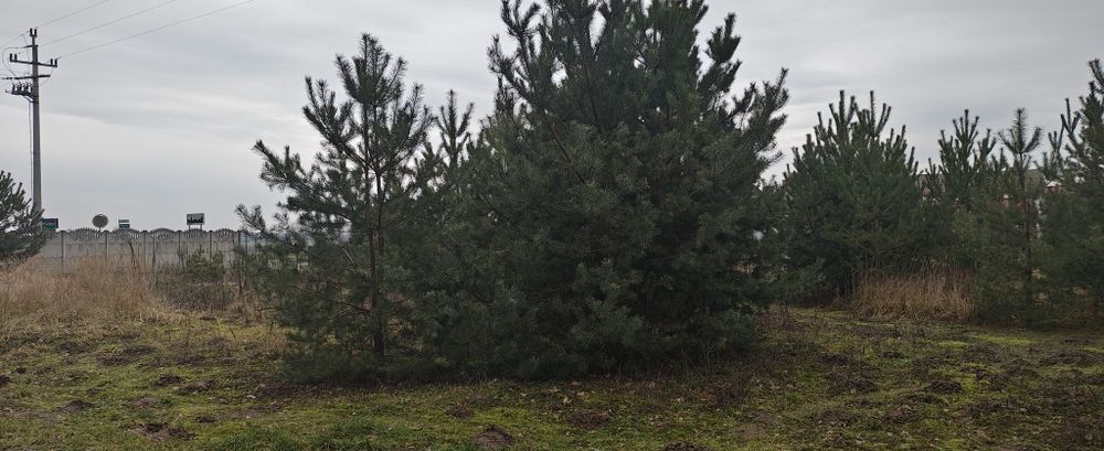 Działka 1200mk.warunki zabudowy