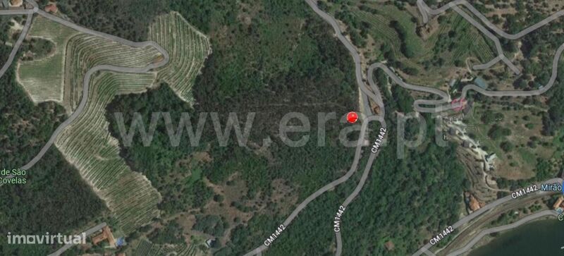 Terreno / Baião, Santa Cruz do Douro e São Tomé de Covelas