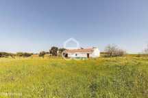 Quinta de 3,575ha c/ Moradia  e Garagem | Oriola