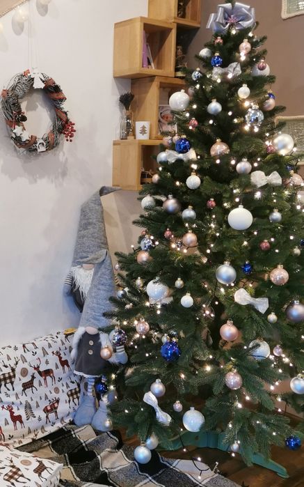 Ялинка лита  Преміум 175 Смерека