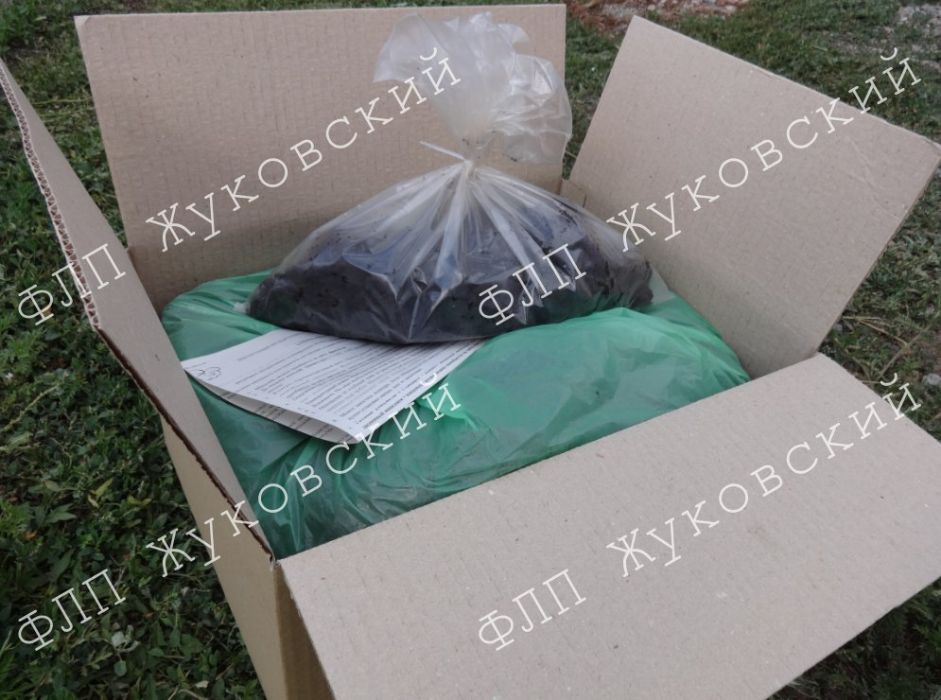 Печериці білі, готовий комплект для вирощування Сімейний