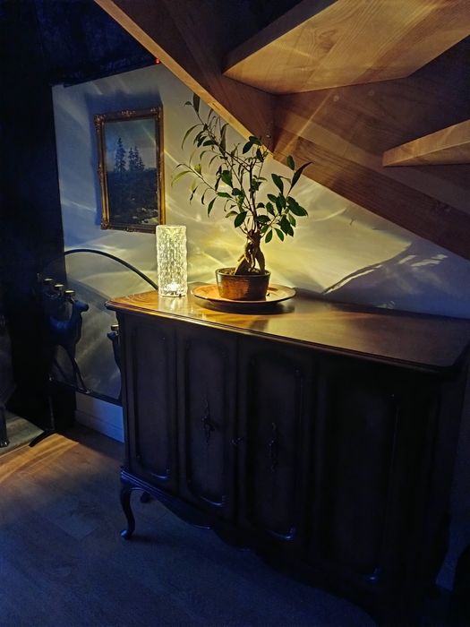 Domki w Bieszczadach noclegi Bieszczady ,, Dzika Jabłoń,,