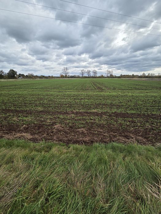 Działki orne uprawne