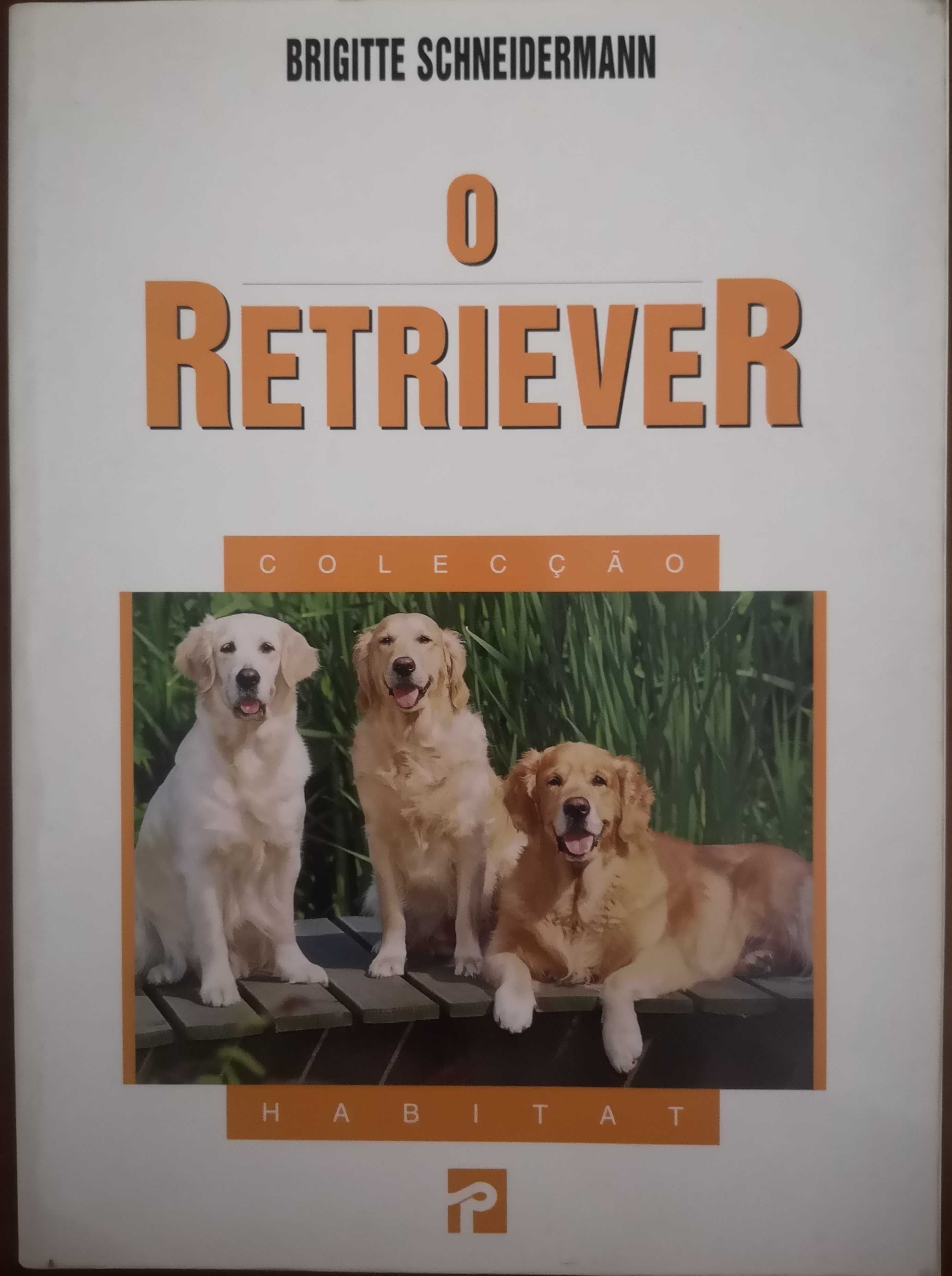 "O Retriever" de Brigitte Schneidermann