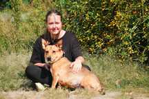 Fuksja - niewielka ruda sunia do adopcji