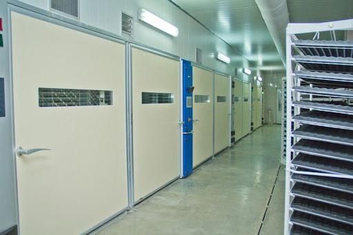 Инкубационные яйца  мясояичных и бройлерных курей маркерованные