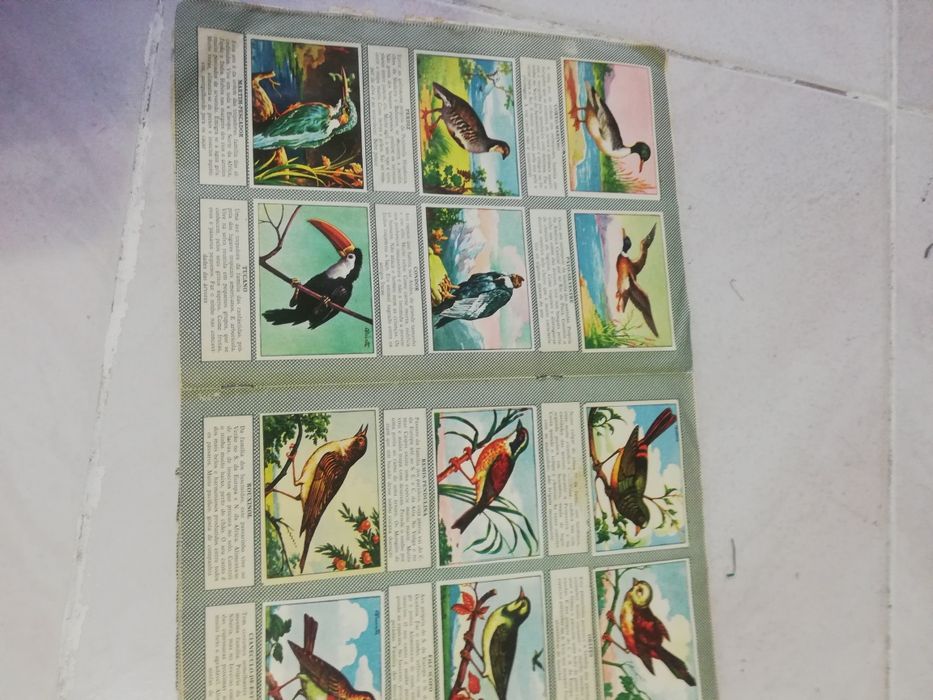 Cadernetas de cromos antigas