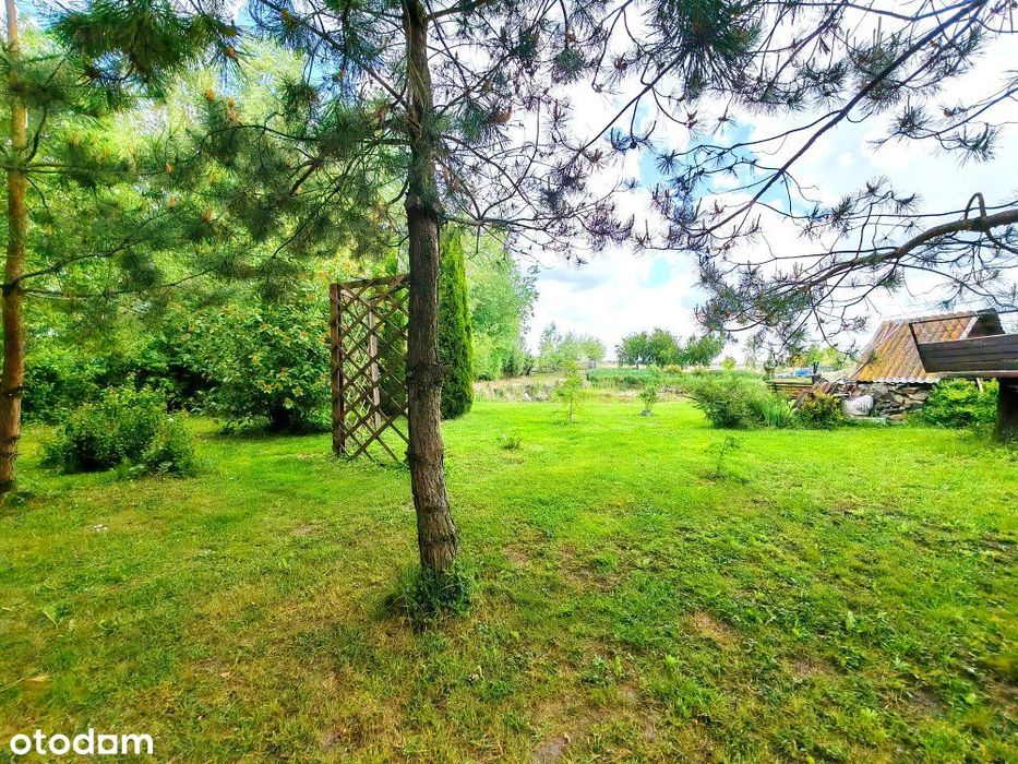 Dom z dużą działką - 6280 m2/Ignatów Kolonia