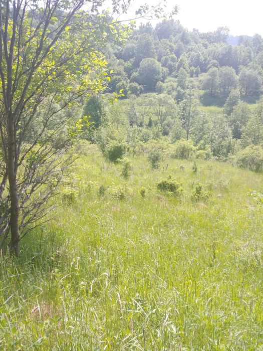 Wyjątkowa działka budowlana w górach w sąsiedztwie lasu