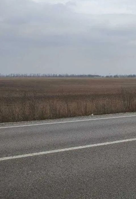 Земельний пай, між Дальником та Санжійкою. 5000уо/га