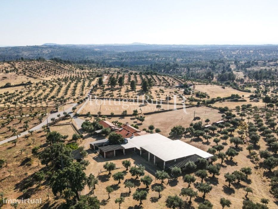 Quinta de 3,05 hectares com duas casas e várias construções