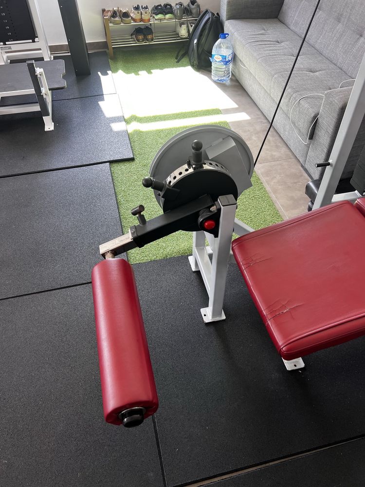 Life fitness pro1 lying leg curl