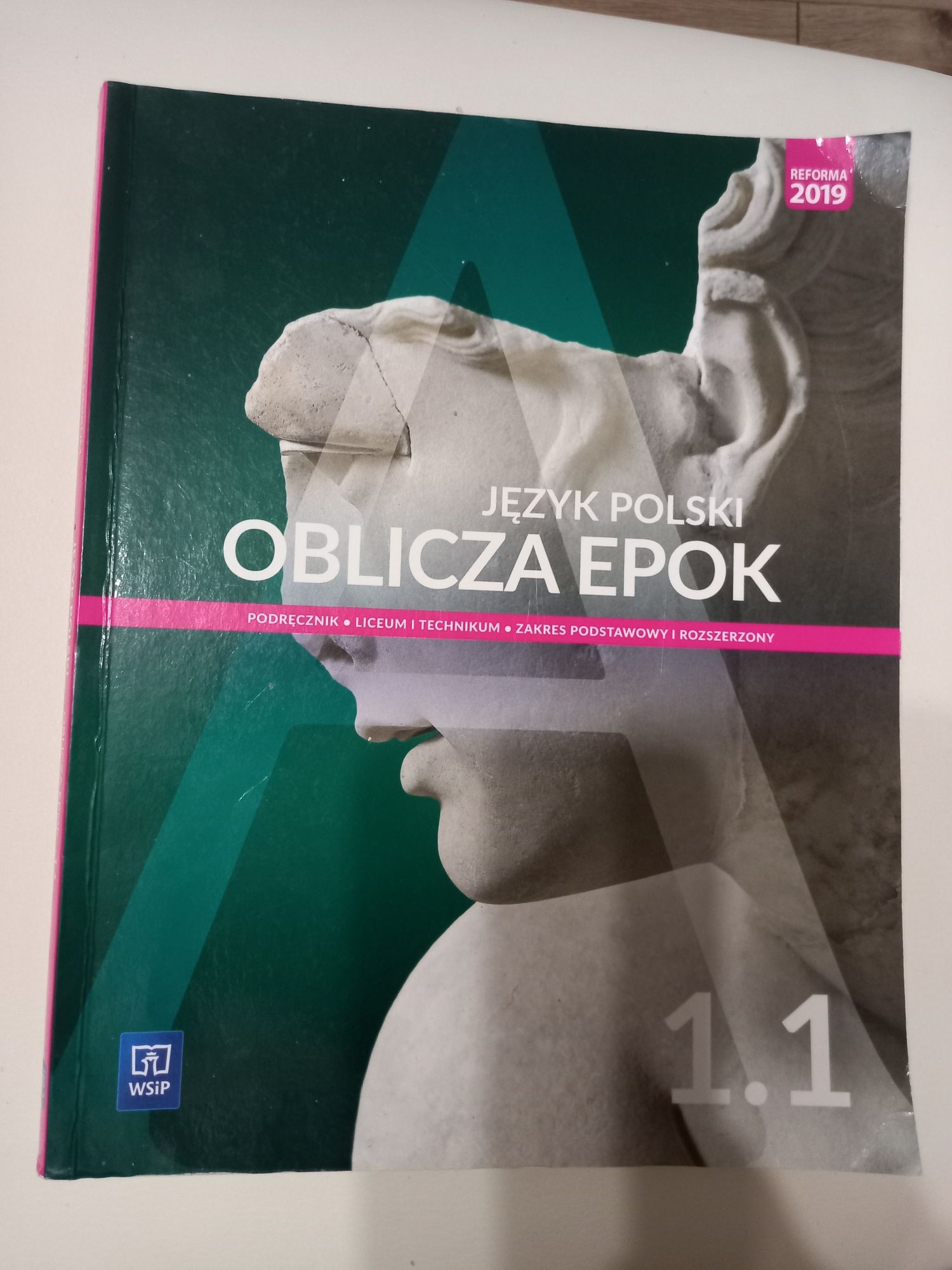 Język polski Oblicza epok 1.1