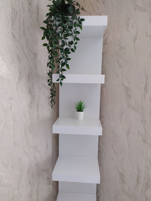 Вітрина.Полка. поличка