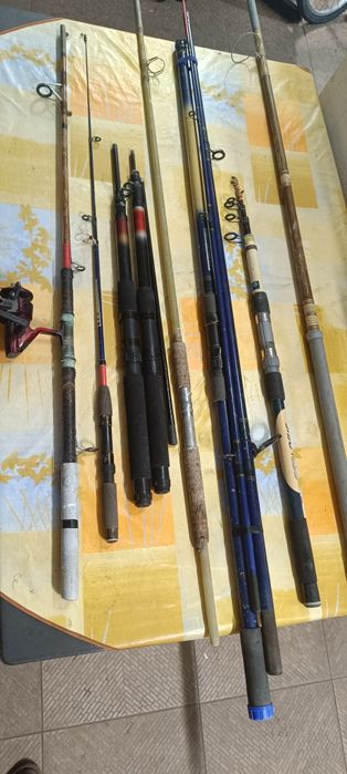Canas de pesca com carreto