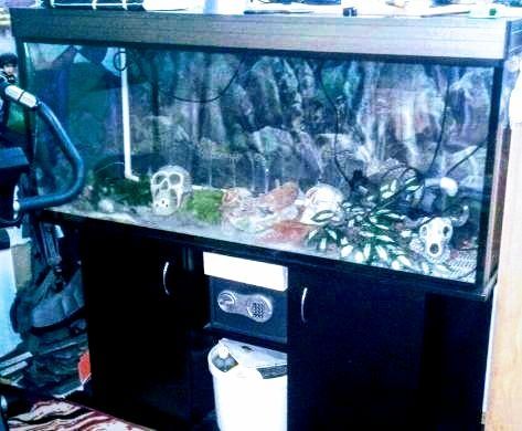 Akwarium 450+ szawka, lampa uv,filtr zewnętrzny,aluminiowa pokrywa!!!