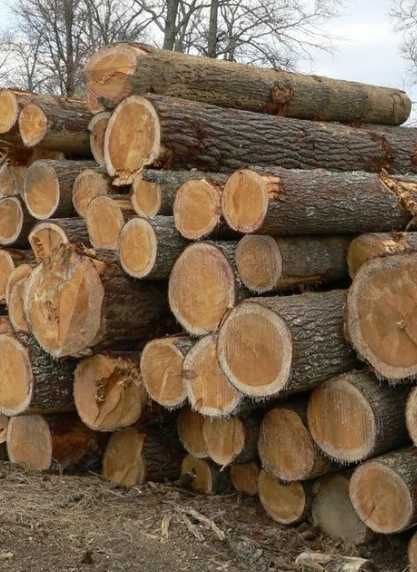 Продам дрова дуб, ясень, акация, без предоплаты, доставка по области