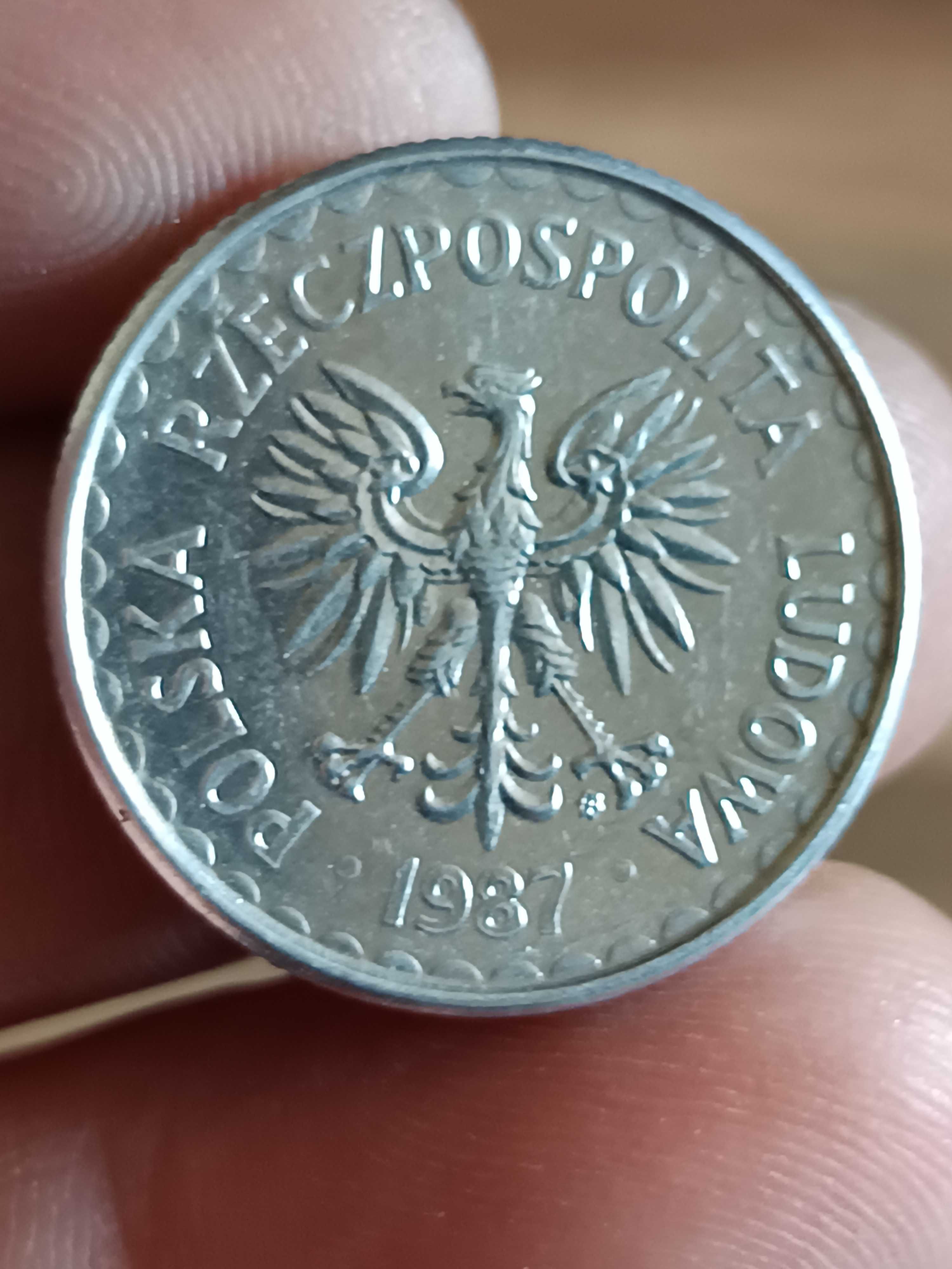 Sprzedam monetę 1 zloty 1987 rok