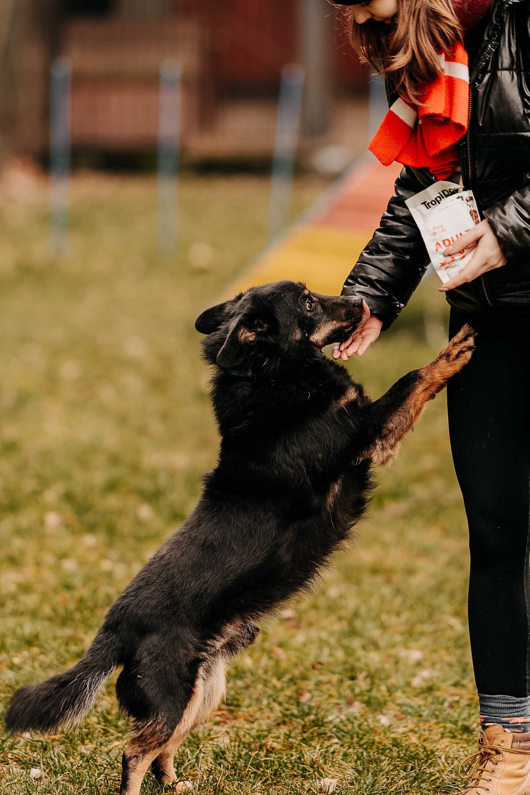 Sprint poleca się do adopcji!!!