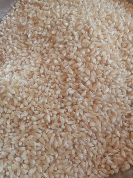 Маю на продаж чи можливо обмін Попкорн 50грн