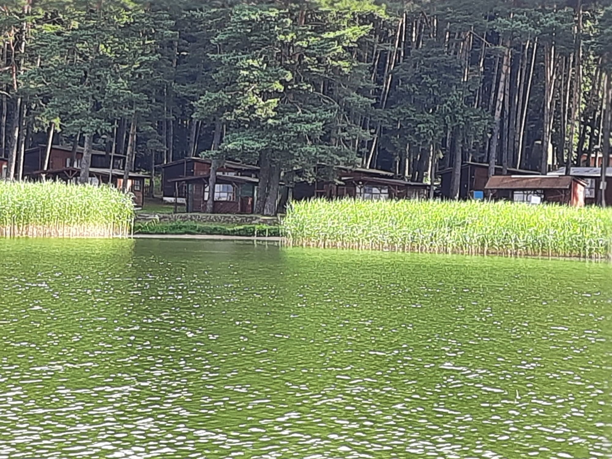 Mazury  domki ryby las noclegi