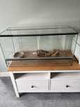 Terrarium dla gada