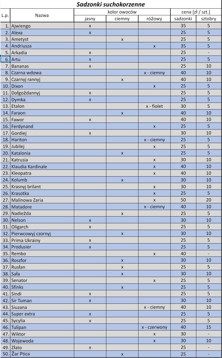 Sadzonki i sztobry winorośli, WYSYŁKA, hurt, detal, winogron