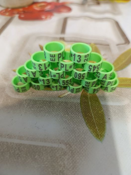 Obrączki EE na ptactwo 13 mm