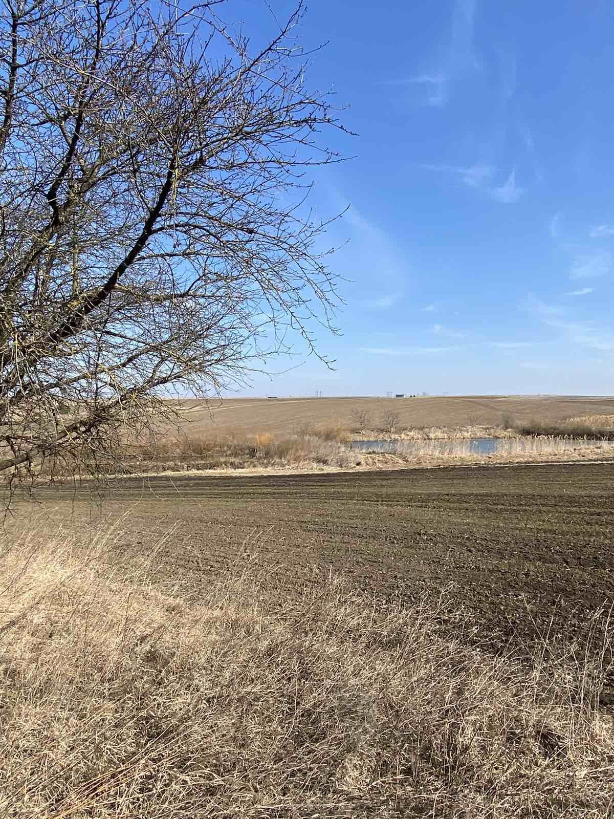 Земельна ділянка в с. Ясининичі біля ставків.