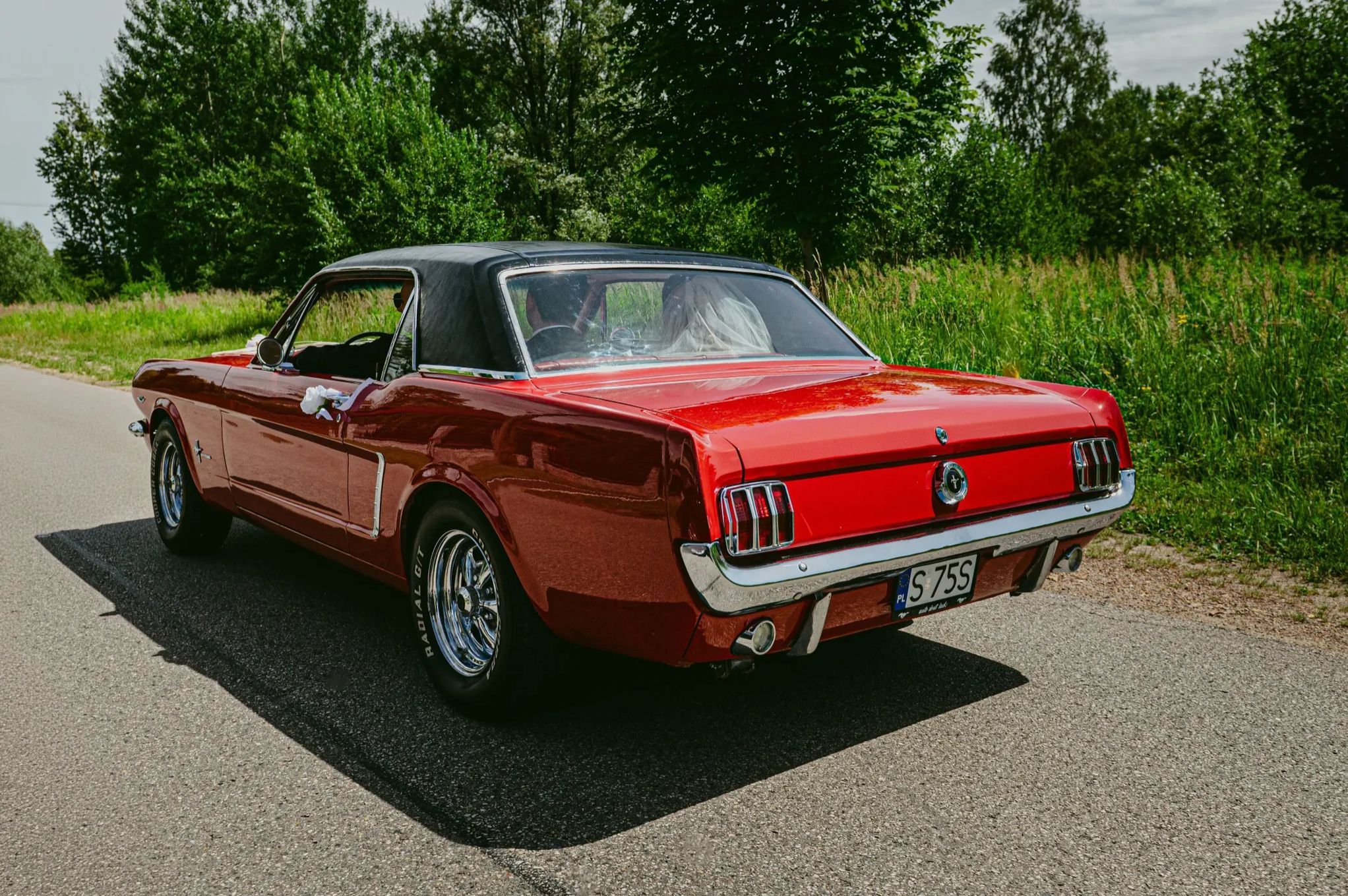 Ford Mustang 1965 V8 289 C-Code
