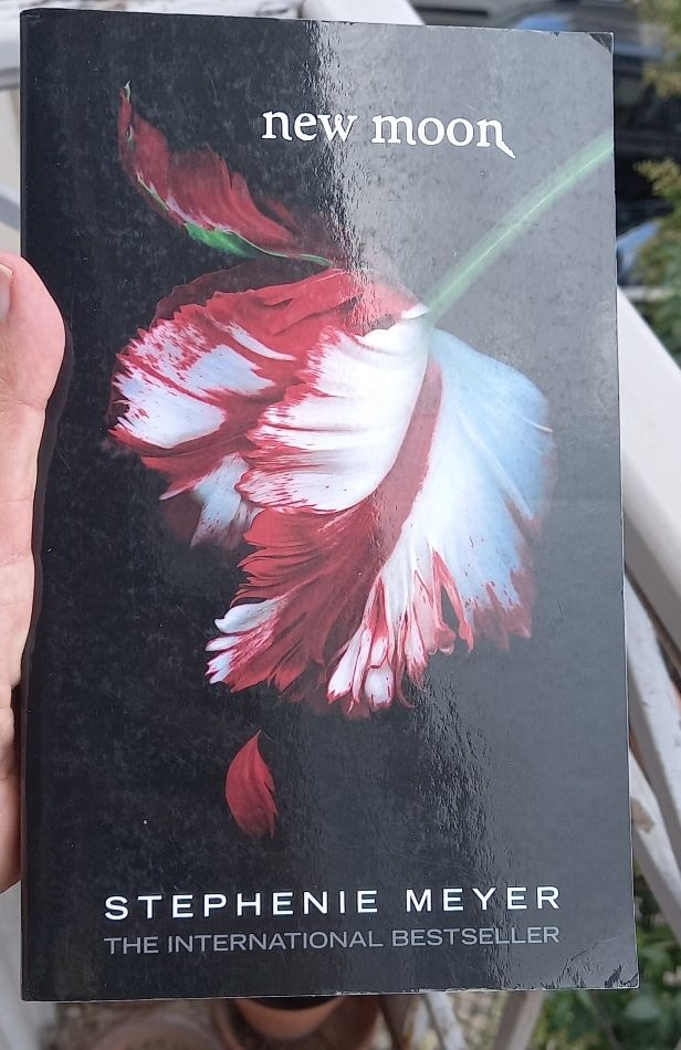 4 livros Twilight de Stephenie Meyer em inglês
