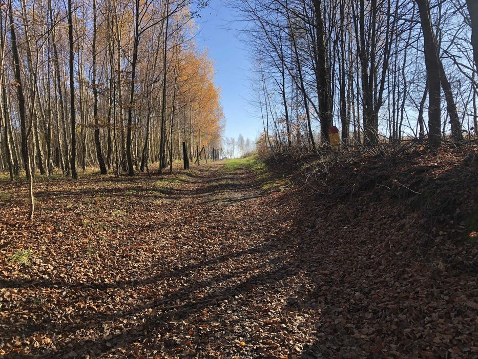 Działka rolno-leśna Pogórze Dynowskie, 0,69 ha