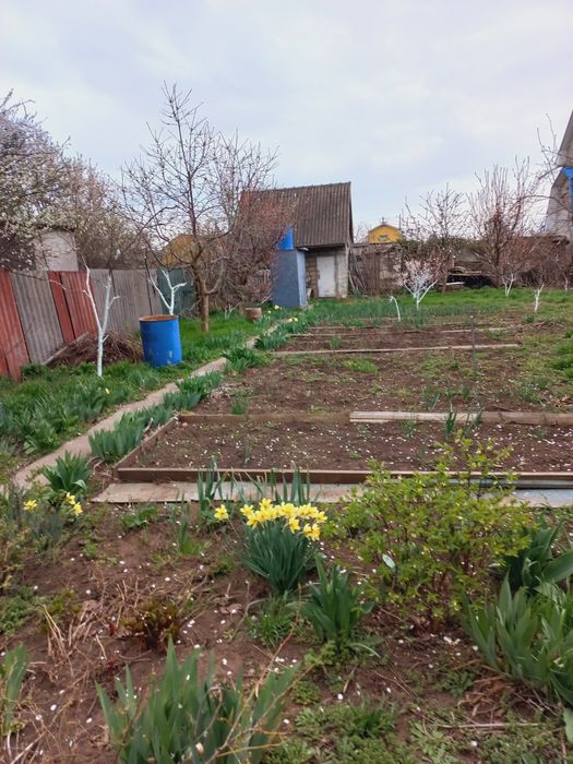 Светлое дачи.Дом зимний50м 3 комн.газ.