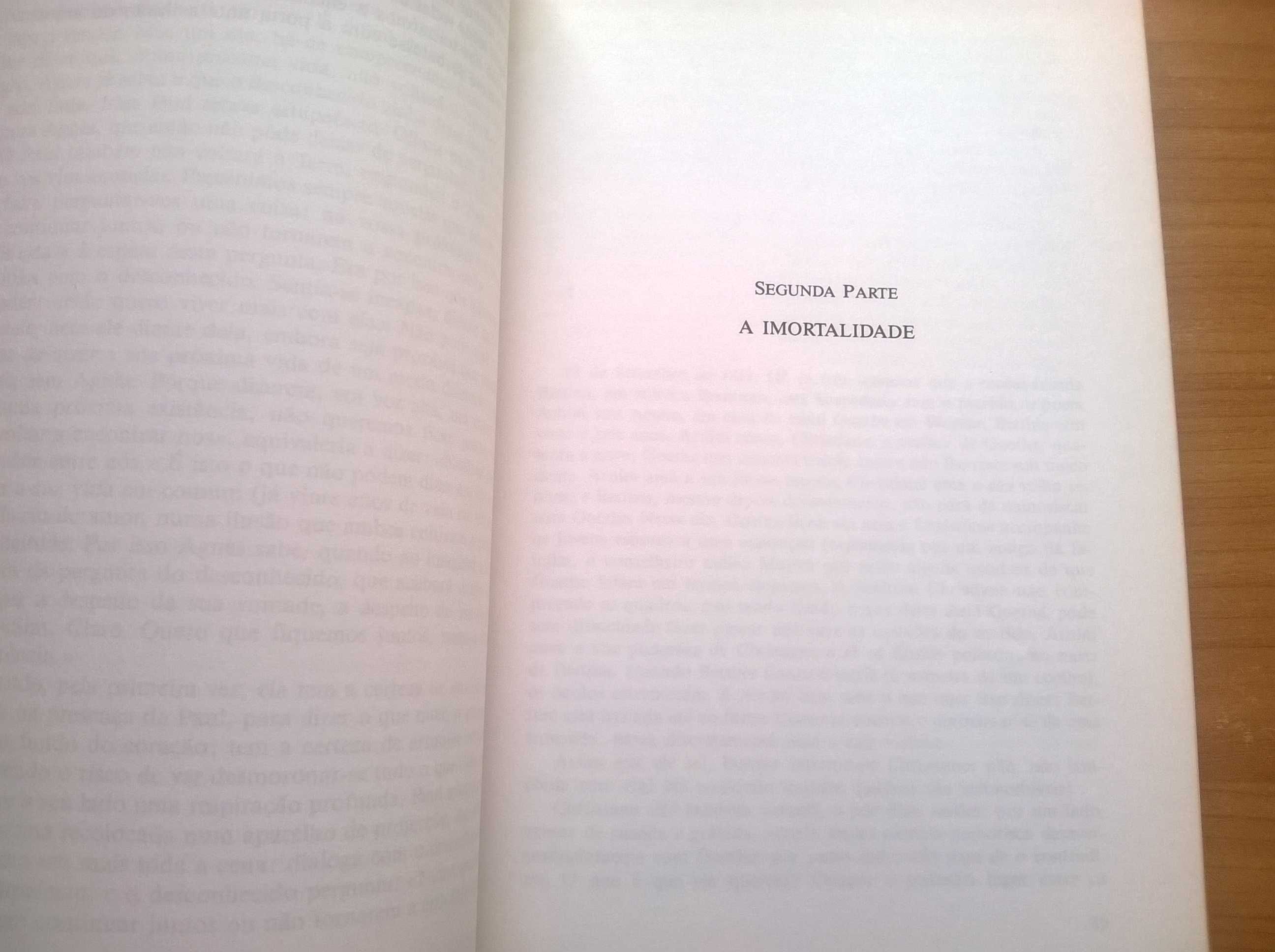 A Imortalidade (1.ª edição) - Milan Kundera