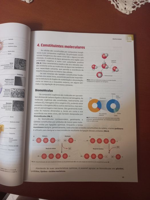 Preparação exame de biologia e geologia 2025