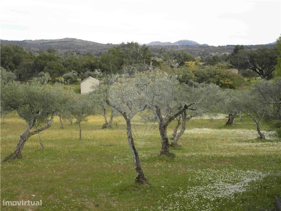 Quinta T0 para venda